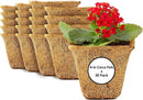 Coco Coir Seed Starter Germination Cups - 4 inches, 20 Pack by EnvelorHome