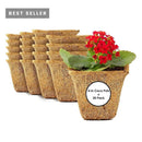 Coco Coir Seed Starter Germination Cups - 4 inches, 20 Pack by EnvelorHome
