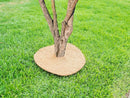 14 Inches Weed Control Discs Coco Tree Rings - 10 Pack by EnvelorHome