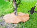 36 Inches Weed Control Discs Coco Tree Rings by EnvelorHome