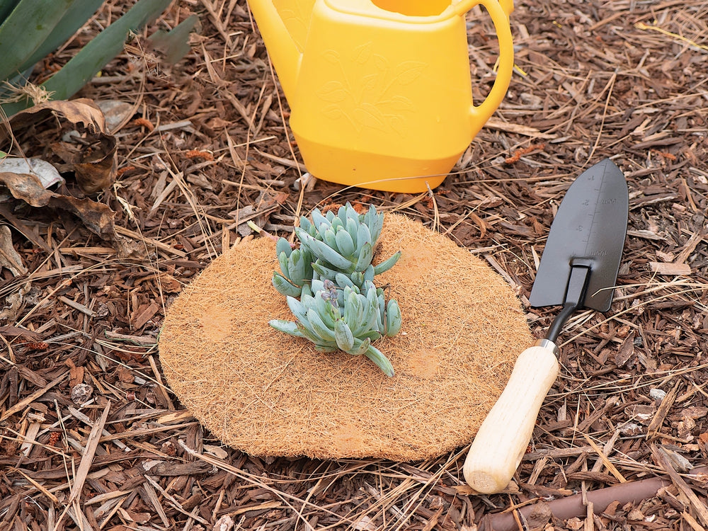 9 Inches Weed Control Discs Coco Tree Rings - 15 Pack, photo 4 of 14