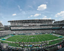 Philadelphia Eagles Lincoln Financial Field Aerial View 8" x 10" Football Stadium Photo by Dynasty Sports & Framing