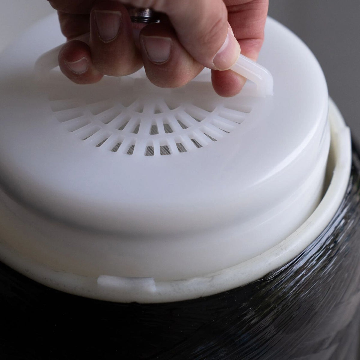 ECHO Whole Home Water Filter, close-up of the surface