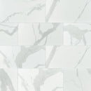 MSI Eden Statuary Porcelain Wall and Floor Tile