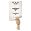 "Bats of Egypt" [Chauve-Souris D'Egypte] Matte Poster