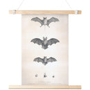 "Bats of Egypt" [Chauve-Souris D'Egypte] Matte Poster