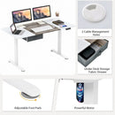 Height Adjustable Electric Standing Desk with USB Charging Port by LJGDeals