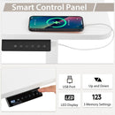 Height Adjustable Electric Standing Desk with USB Charging Port by LJGDeals