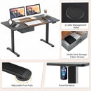 Height Adjustable Electric Standing Desk with USB Charging Port by LJGDeals