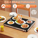 Electric Warming Food Warmer with Adjustable Temperature Control and Overheat Protection by LJGDeals