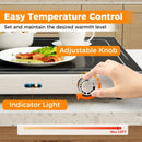 Electric Warming Tray with Adjustable Temperature and Built-In Handles Tempered Glass by LJGDeals