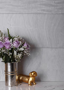 Light Gray 12x24 Matte Field Porcelain Tile (5 pack, 10.763 sq ft/case)