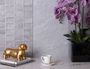 Coin Gray 12x24 Matte Field Porcelain Tile (5 pack, 10.763 sq ft/case)