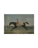 Equine Painting II