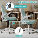 Ergonomic Computer Desk Chair with Lumbar Support and Flip-up Arms