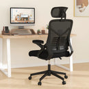 Ergonomic Mesh Office Chair with Lumbar Support and Rocking Function-Black by LJGDeals