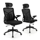 Ergonomic Mesh Office Chair with Lumbar Support and Rocking Function-Black by LJGDeals