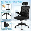 Ergonomic Mesh Office Chair with Lumbar Support and Rocking Function-Black by LJGDeals