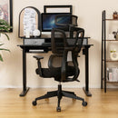Ergonomic Office Chair with N Type Lumbar Support and Adjustable Headrest-Black by LJGDeals