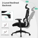 Ergonomic Office Chair with N Type Lumbar Support and Adjustable Headrest-Black by LJGDeals