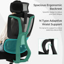 Ergonomic Office Chair with N Type Lumbar Support and Adjustable Headrest-Black by LJGDeals