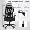Ergonomic Office Chair with N Type Lumbar Support and Adjustable Headrest-Black by DirectDeals