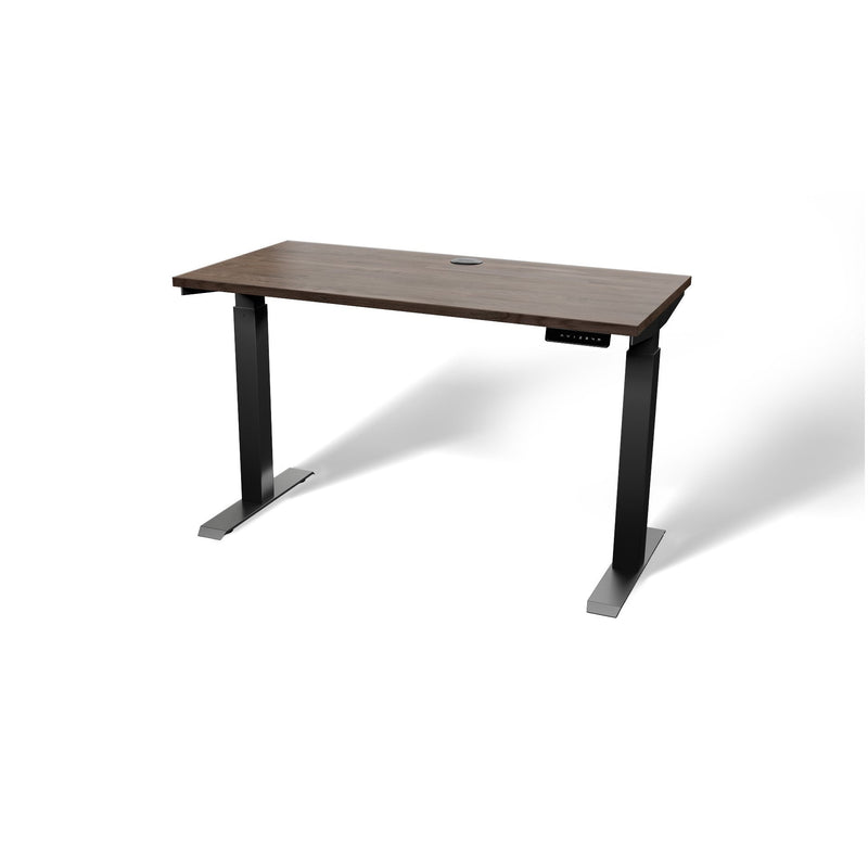 Butcher Block 48” Height-Adjustable Standing Office Desk