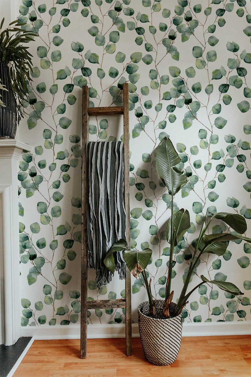 Eucalyptus Wallpaper - Removable Wallpaper - Self Adhesive Wall Paper