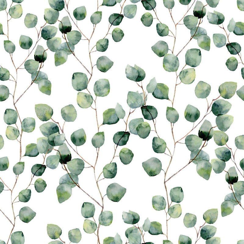 Eucalyptus Wallpaper - Removable Wallpaper - Self Adhesive Wall Paper