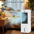Evaporative Air Cooler and Heater with 3 Modes 3 Speeds and 2 Ice Boxes-White by LJGDeals