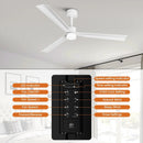 50 Inch Rae Modern Downrod Mount LED Ceiling Fan with Remote Control