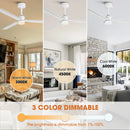 50 Inch Rae Modern Downrod Mount LED Ceiling Fan with Remote Control