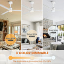 50 Inch Rae Modern Downrod Mount LED Ceiling Fan with Remote Control