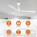50 Inch Erica Modern Downrod Mount Ceiling Fan with Remote Control