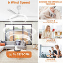 50 Inch Erica Modern Downrod Mount Ceiling Fan with Remote Control