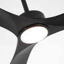 60 Inch Alexi DC Motor Modern Downrod Ceiling Fan with LED Light