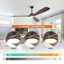 60 Inch Alexi DC Motor Modern Downrod Ceiling Fan with LED Light