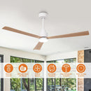 52 Inch Dinah Modern Downrod Mount Ceiling Fan with Remote Control and LED Light