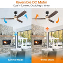 56 Inch Louise Downrod Mount LED Wood Blades Ceiling Fan with Remote Control