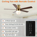 52 Inch Fanny Double-sided Blades Flush Mount LED Ceiling Fan with Remote Control by Parrot Uncle
