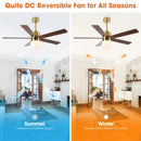 52 Inch Alva Double-sided Blades Downrod Mount LED Ceiling Fan with Remote Control