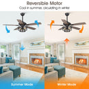 52" Paquette Industrial Downrod Mount Reversible Ceiling Fan with Lighting and Remote Control