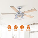 52" Lucknow Industrial Black Reversible Ceiling Fan with Lighting and Remote Control