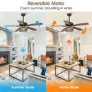 52" Hyderabad-Secunderabad Farmhouse Downrod Mount Reversible Ceiling Fan with Lighting and Remote Control