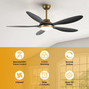 52" Punjab Smart Fan with LED Light