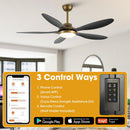 52" Punjab Smart Fan with LED Light