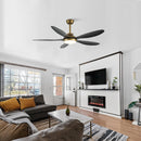 52" Punjab Smart Fan with LED Light