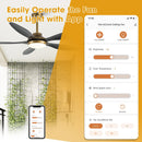 52" Punjab Smart Fan with LED Light