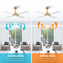 48" Linden DC Motor Downrod Mount Reversible Ceiling Fan with Lighting and Remote Control