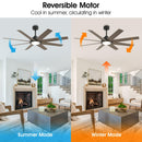 60" DC Motor 8 Blades Modern Downrod Mount Ceiling Fan with LED Light and Remote Control
